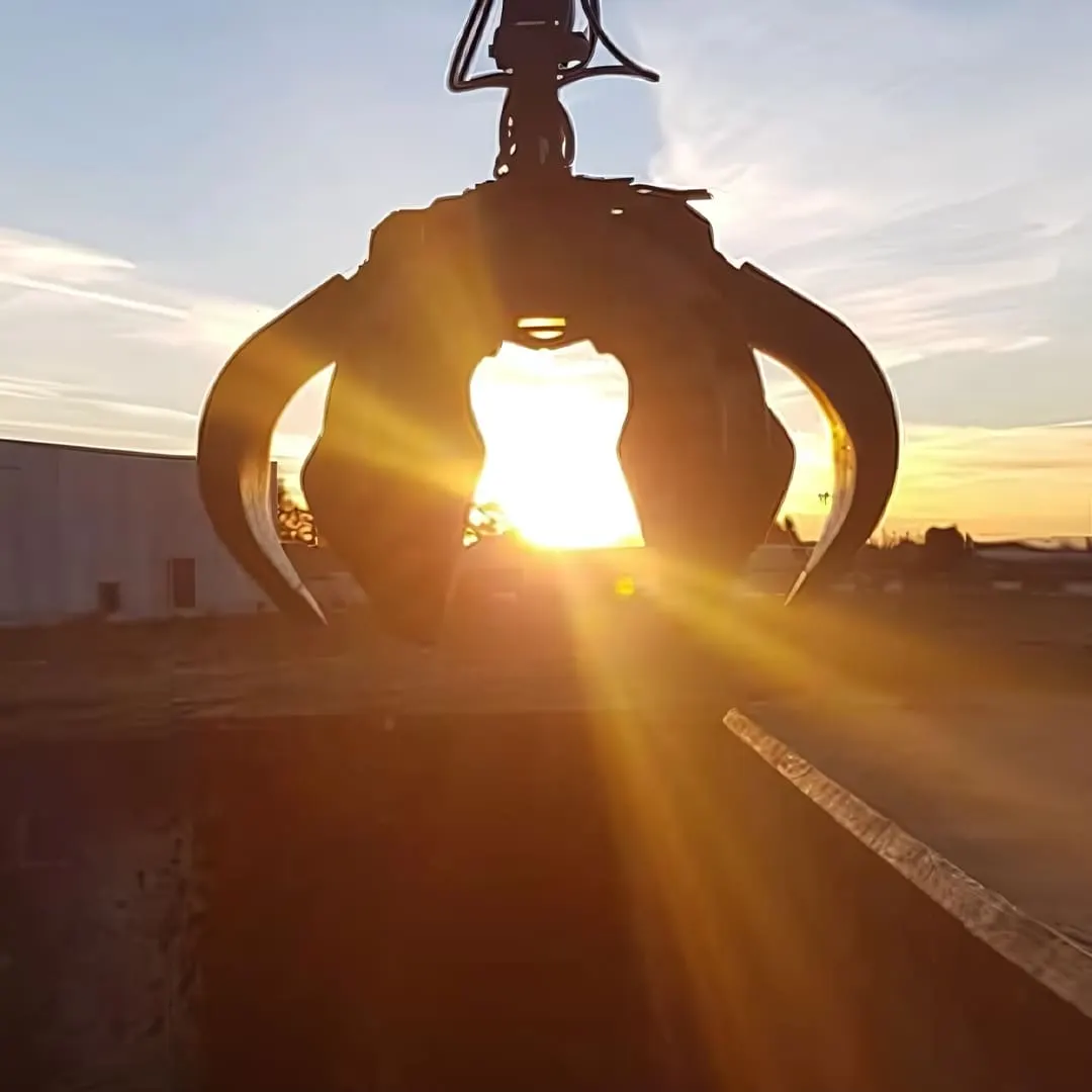 Benna del ragno caricatore controluce al tramonto